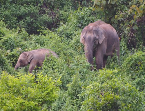 Early warning system in Bangladesh