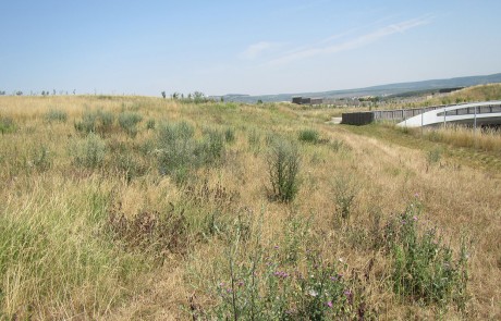 Monitoring A5 Poysbrunn Staatsgrenze